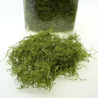 NATUR FOREST MOOS 300 G