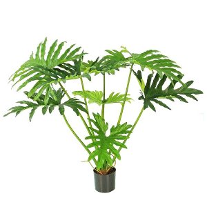 KUNST PHILODENDRON I.TOPF